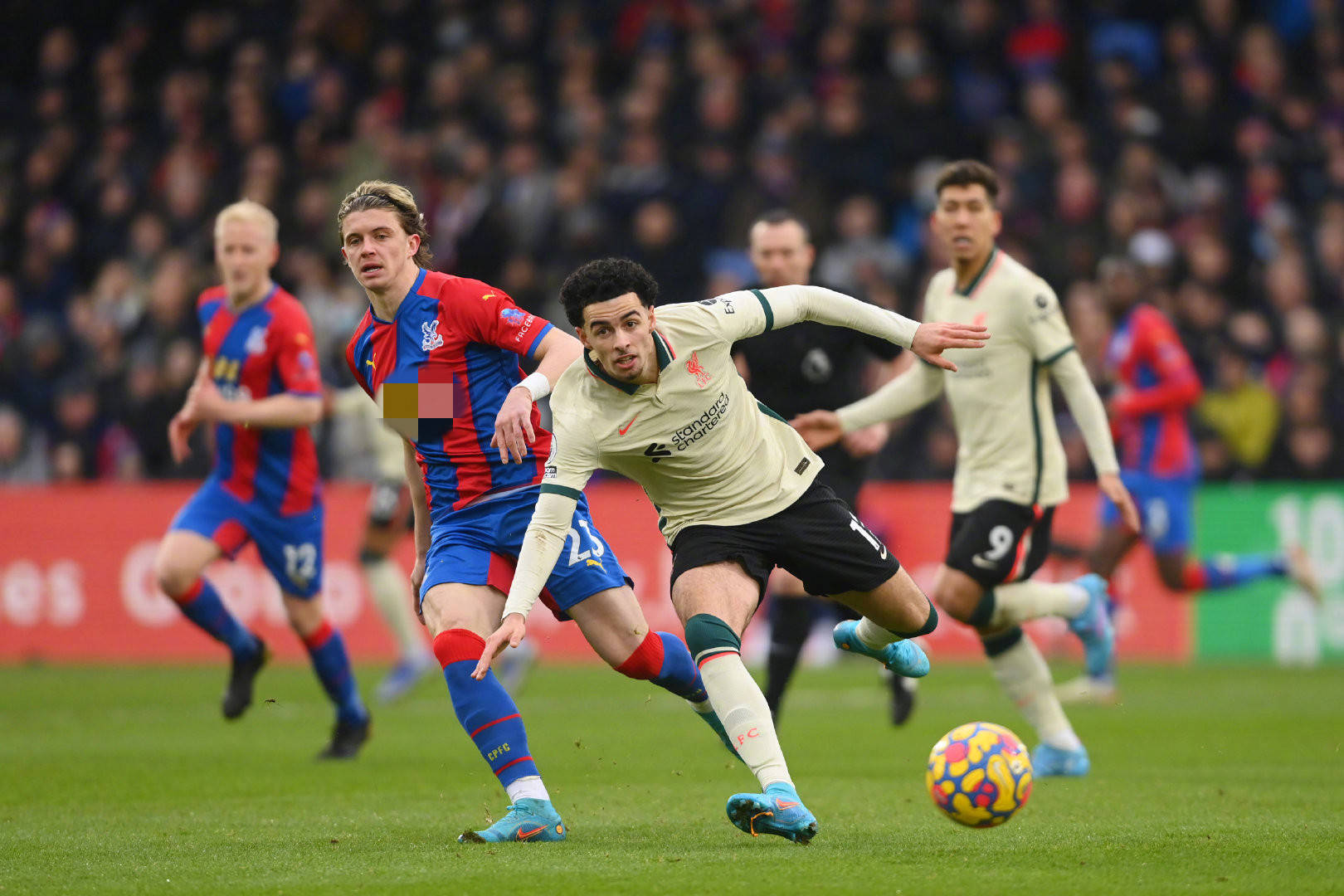 赛事方也可 赛事方也可